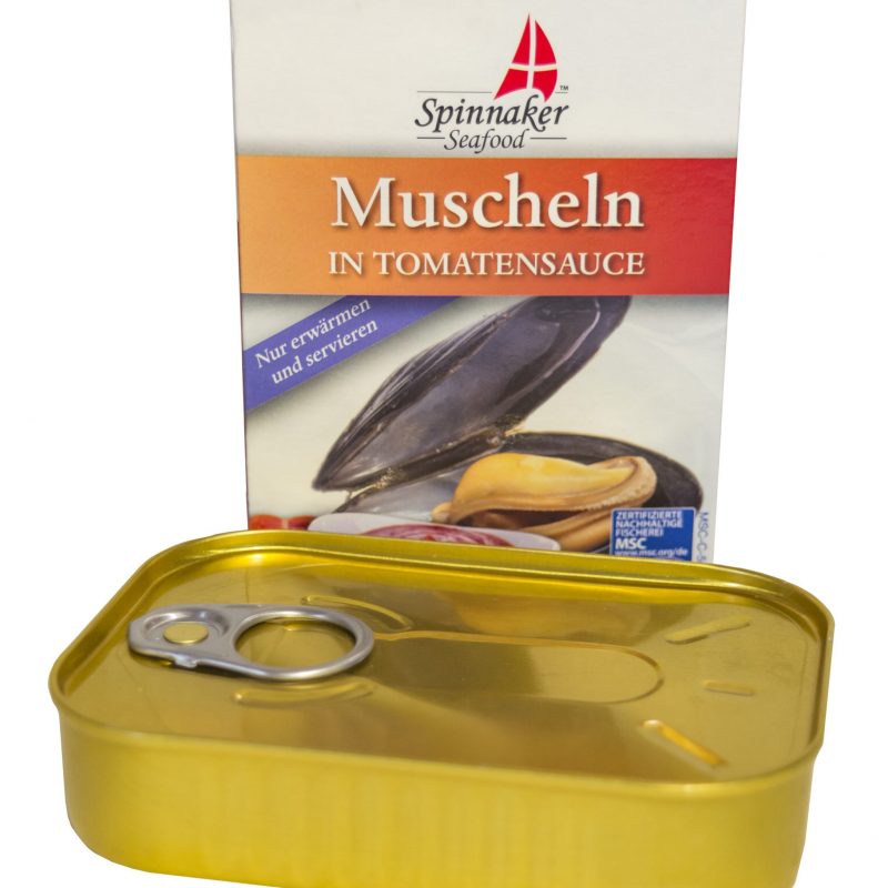 Spinnaker msc kagylĂł paradicsomszĂłszban