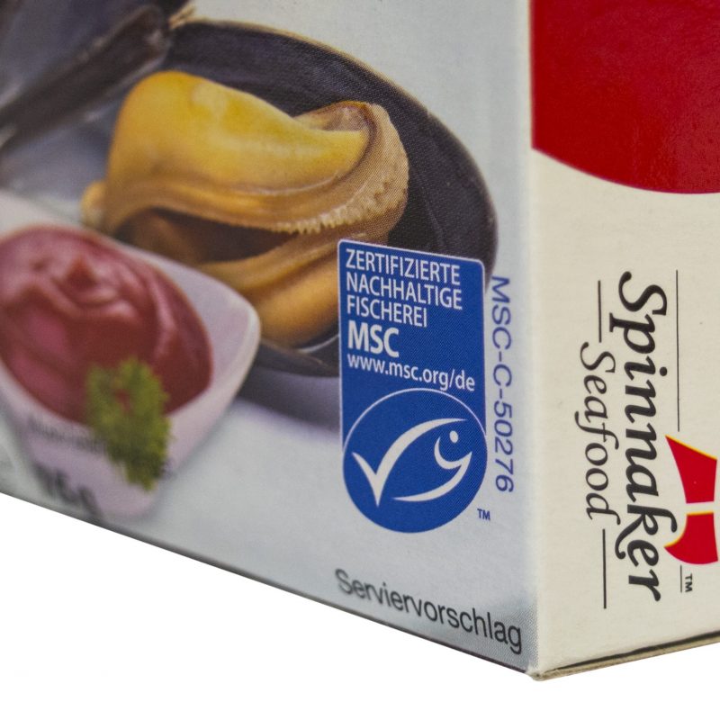 Spinnaker msc kagylĂł paradicsomszĂłszban