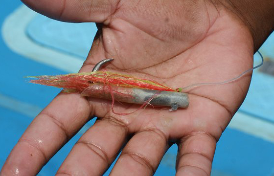 The Pole & Line fishing - CannedFish