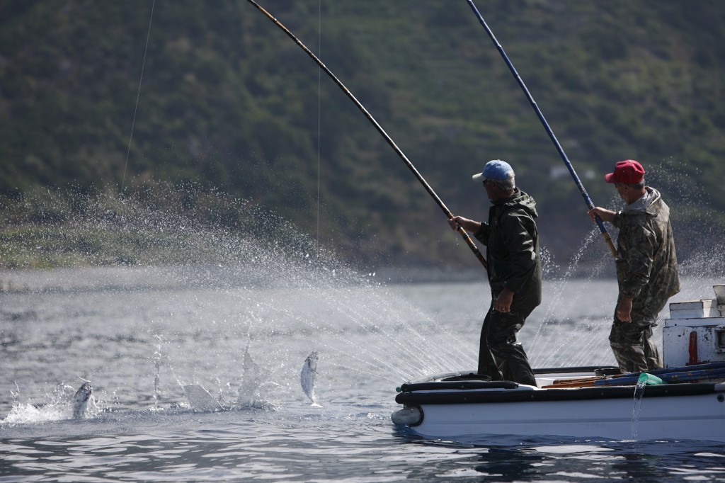 Pole and line, trolling and handline (hook and lines)